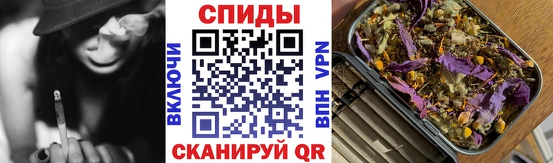 Купить где  Буй  БУТИРАТ буратино 