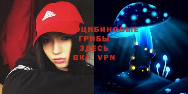 тгк Карпинск
