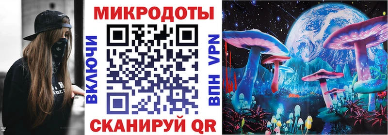 Псилоцибиновые грибы MAGIC MUSHROOMS  Купить где  Буй 